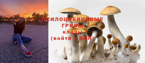 метадон Алексеевка