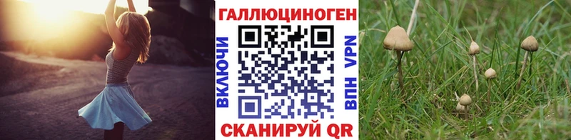 Купить закладки  Стерлитамак  Псилоцибиновые грибы Magic Shrooms 